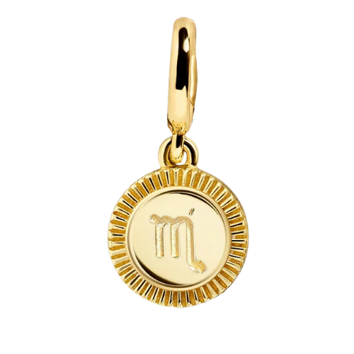 Zodiac Charm