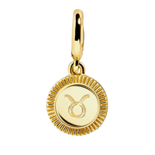 Zodiac Charm