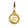 Zodiac Charm