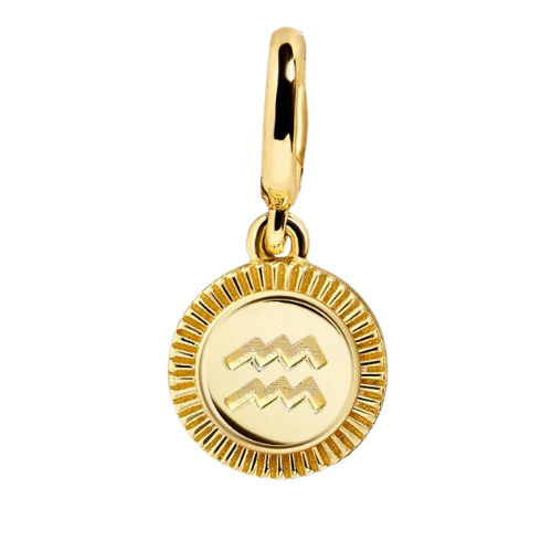 Zodiac Charm