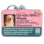 Pet ID Tag