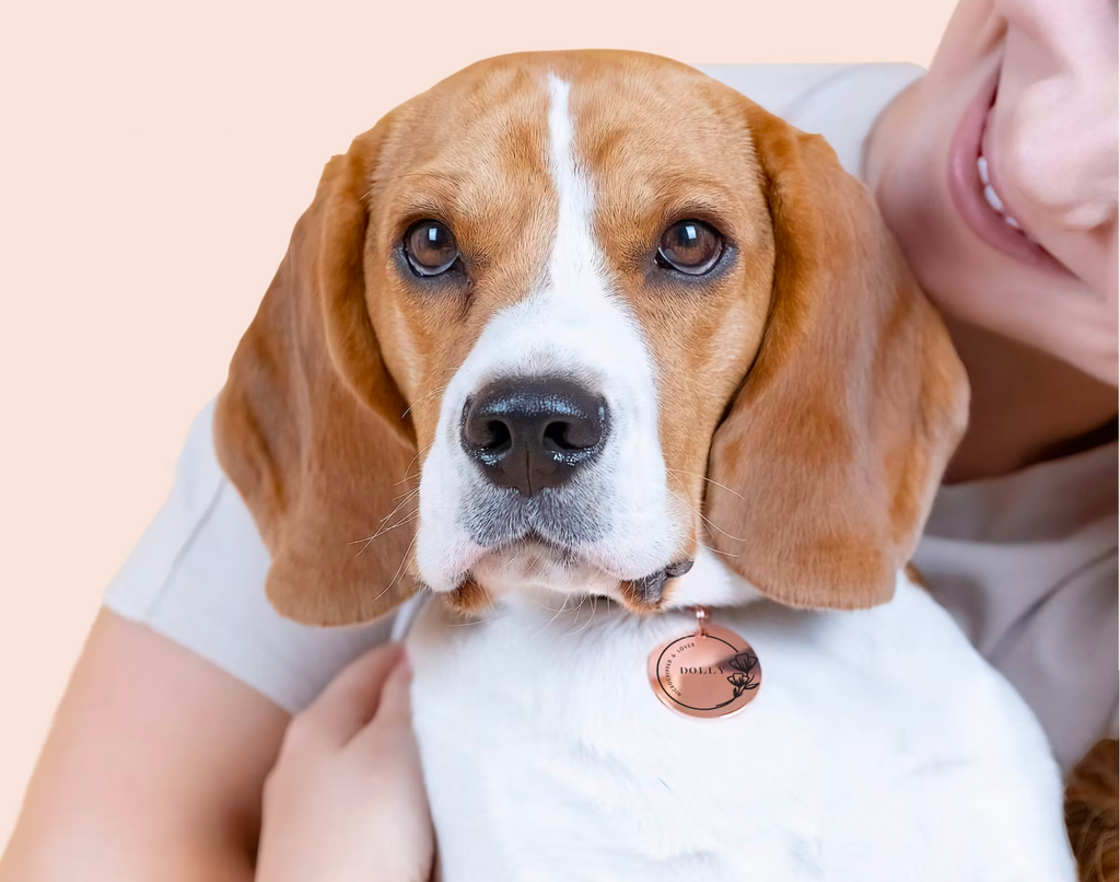 Pet ID Tag