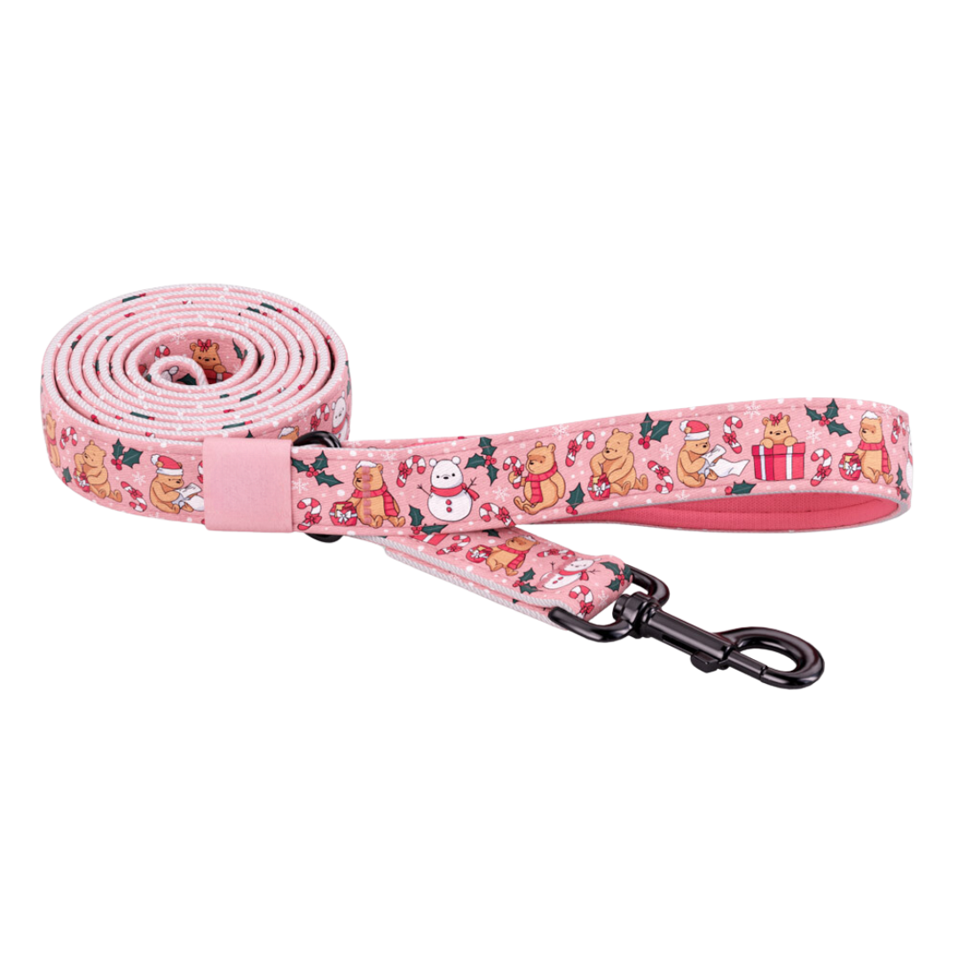 Leash