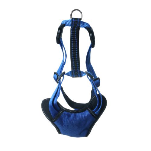 Harness