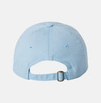 Blue Hat