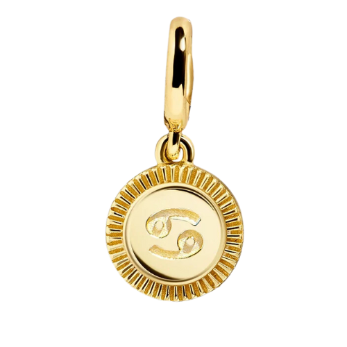 Zodiac Charm