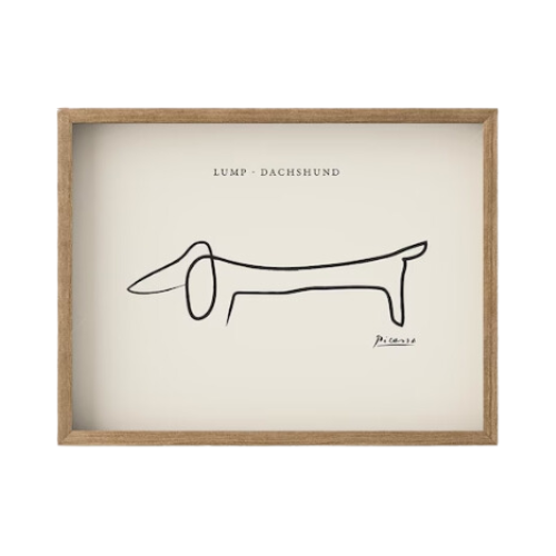 Dachshund