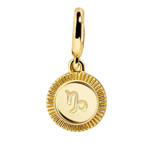 Zodiac Charm