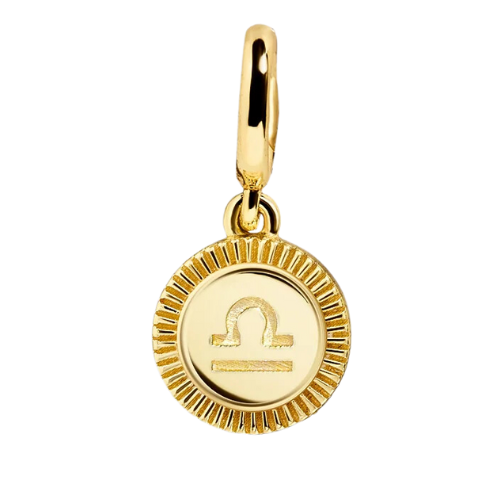 Zodiac Charm