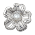 Silver Daisy