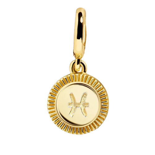 Zodiac Charm