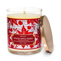 Spiced Apple Toddy