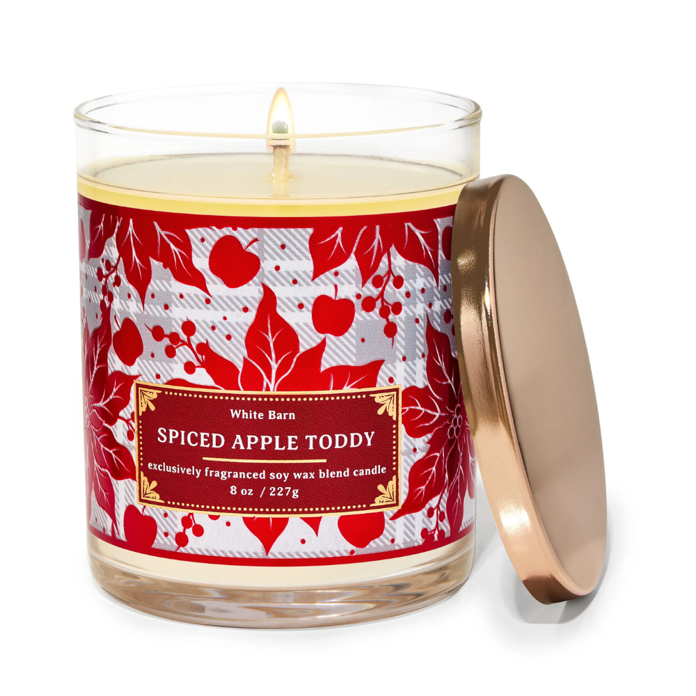 Spiced Apple Toddy