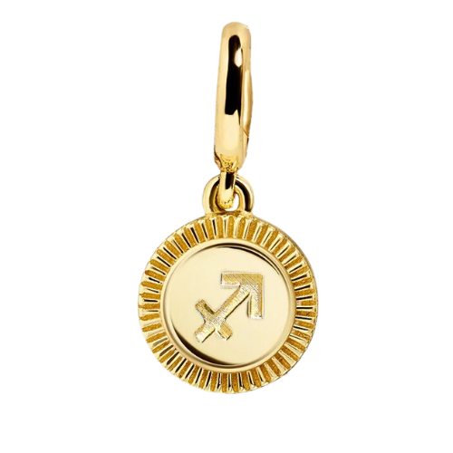 Zodiac Charm