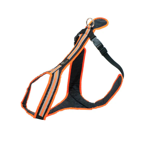 Schwarz-orange