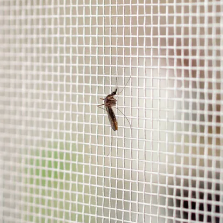 Bug-Proof Window Screens