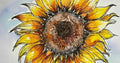 Sunflower Drawing