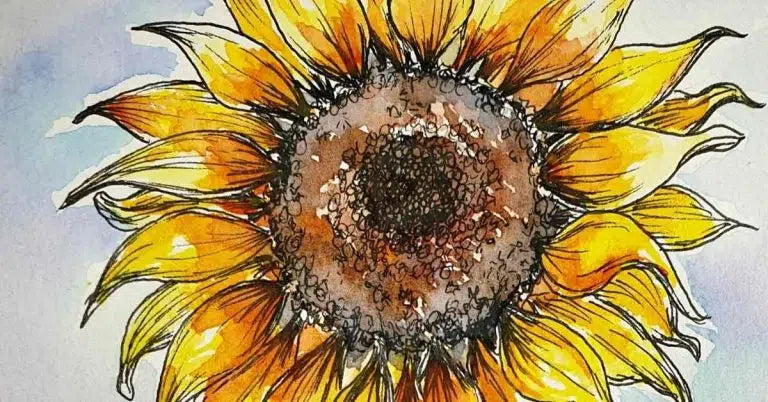 Sunflower Drawing