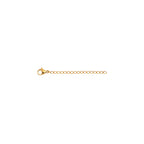 Chain Extender