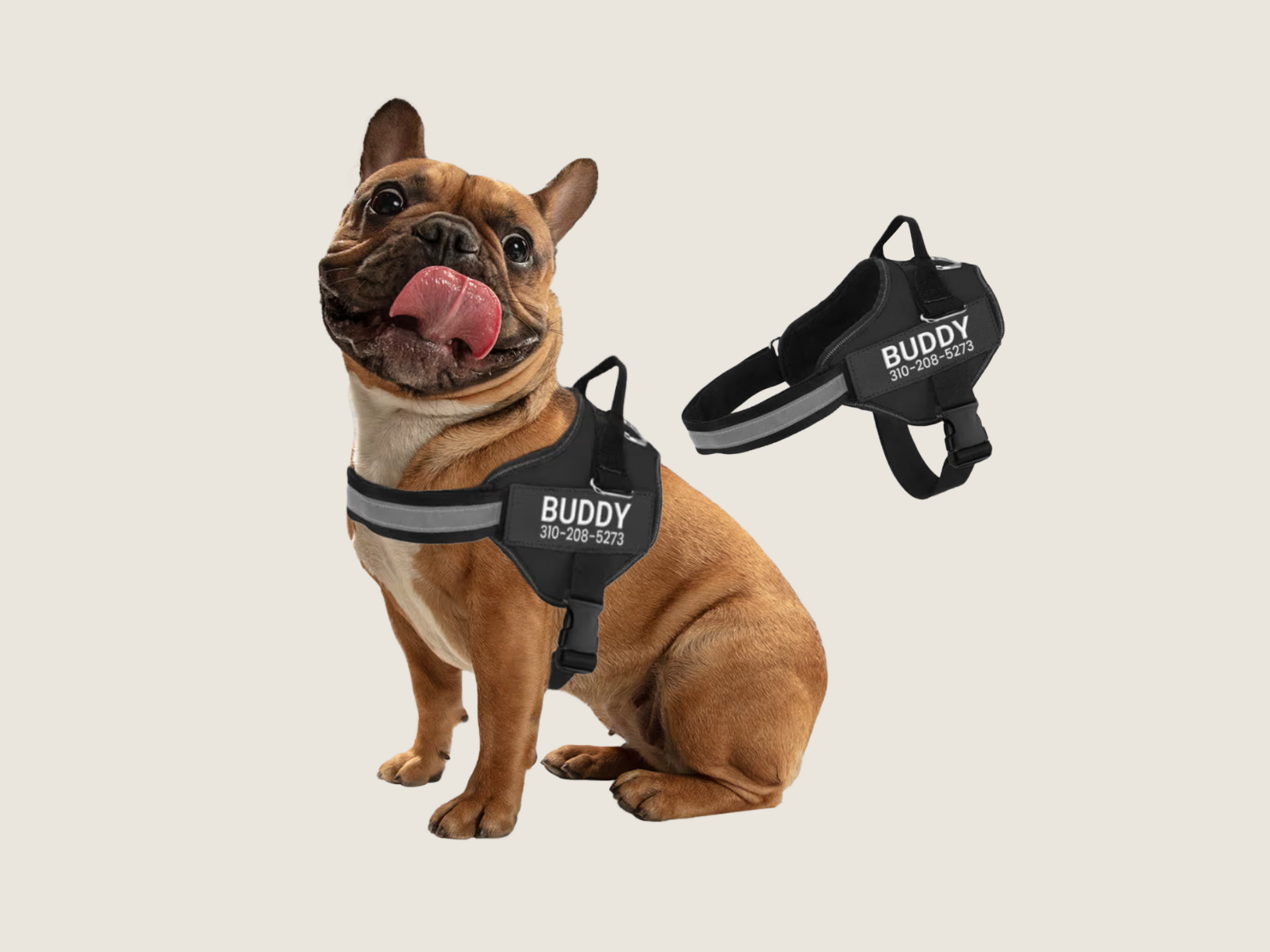 No Pull Dog Harness