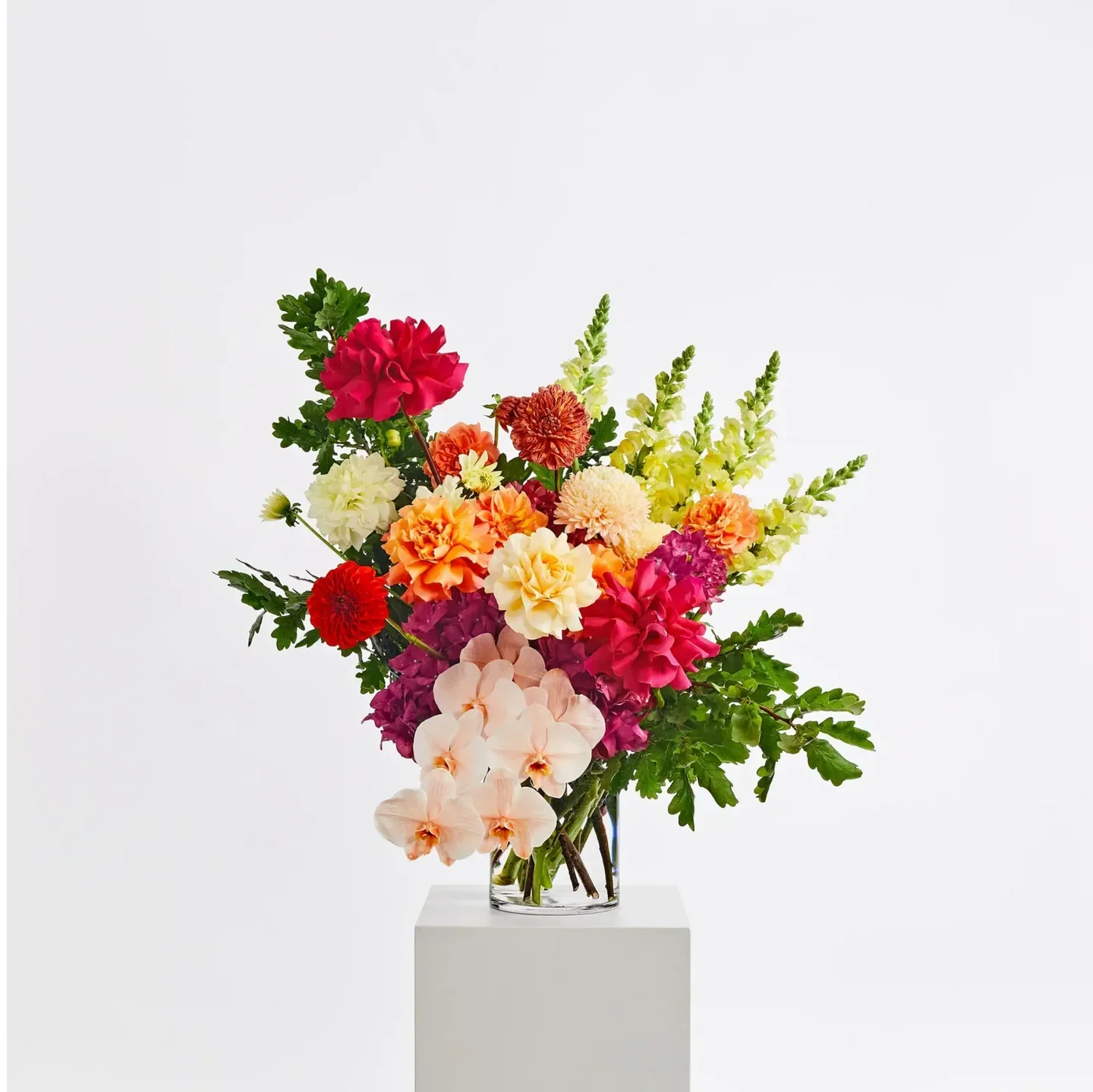Bright & Luxurious