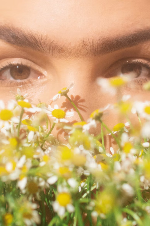 Contact Lens