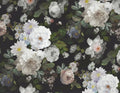 White Peony Blossoms Wallpaper
