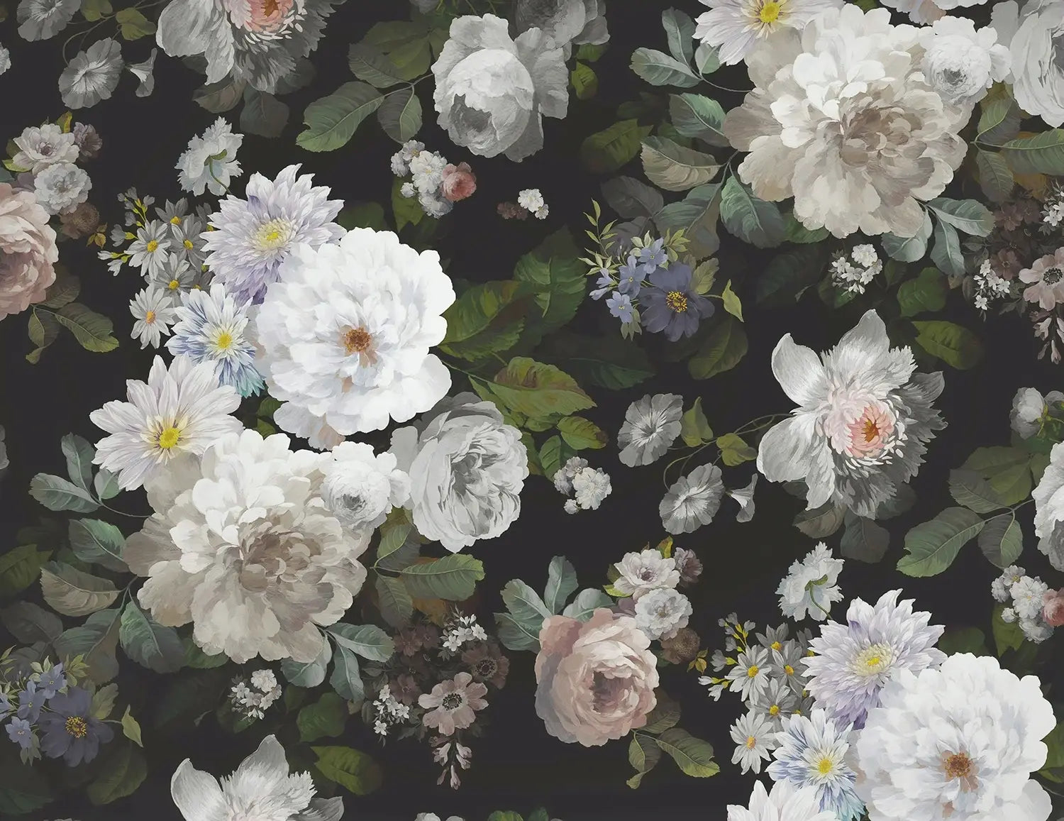 White Peony Blossoms Wallpaper